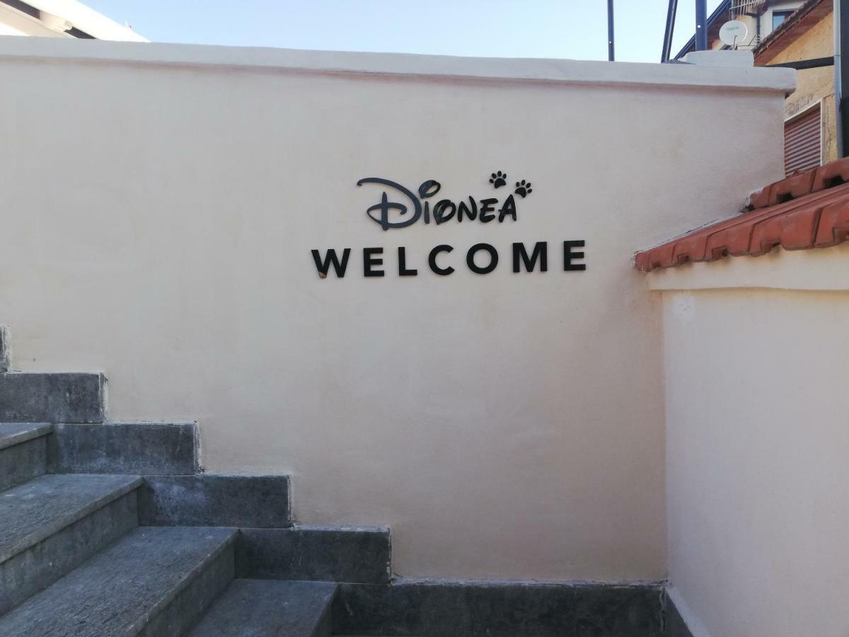 B&B Dionea Santa Maria di Castellabate Bagian luar foto